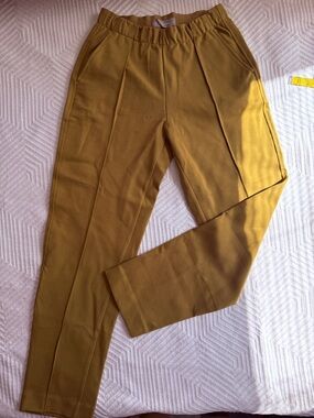 Everlane Mustard Pull-On Trouser in Ponte